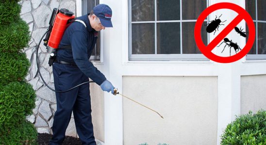 Çamlıyayla Dezenfeksiyon böcek ilaçlama ve haşere kontrolü — ilaclama-tr.com